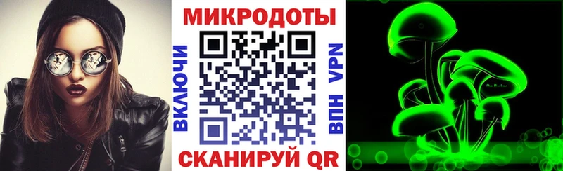 Псилоцибиновые грибы GOLDEN TEACHER Купить закладки Гаджиево